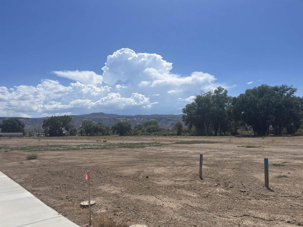 971 Hay Bale Court - Photo 1