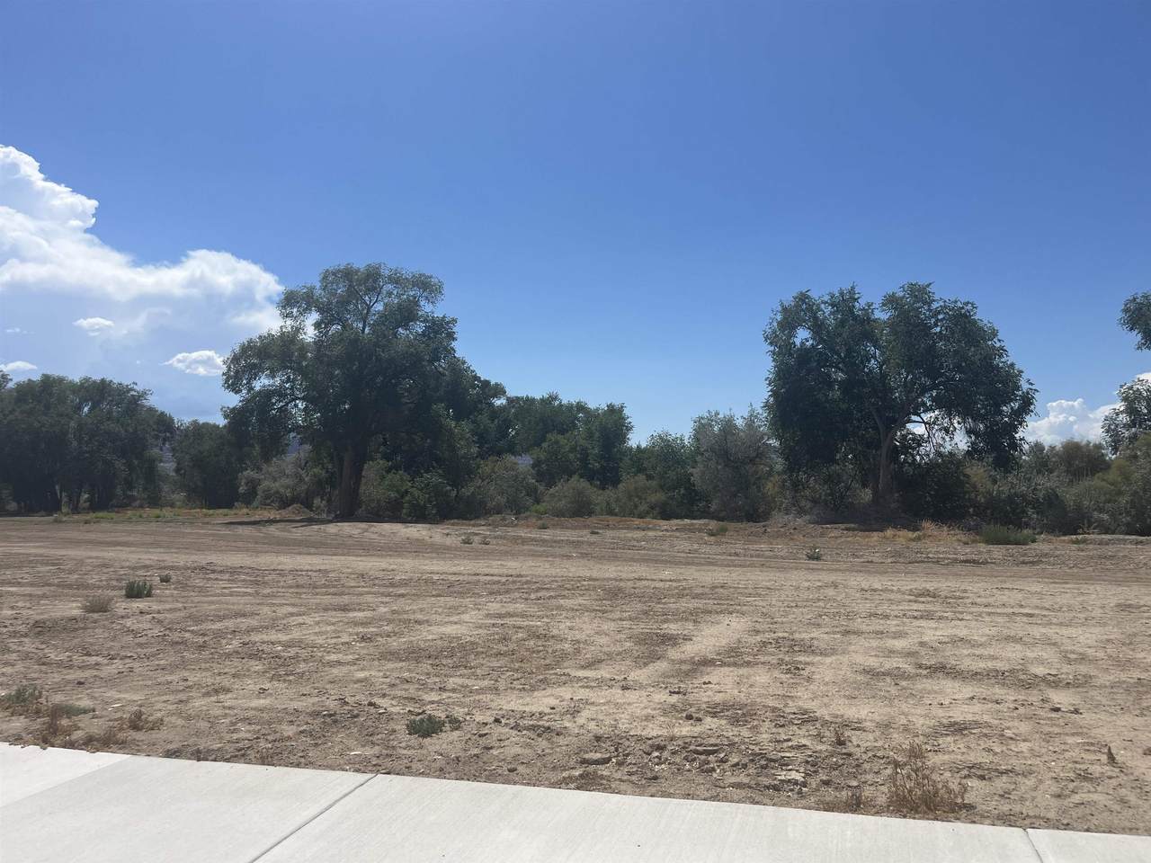 975 Hay Bale Court - Photo 1
