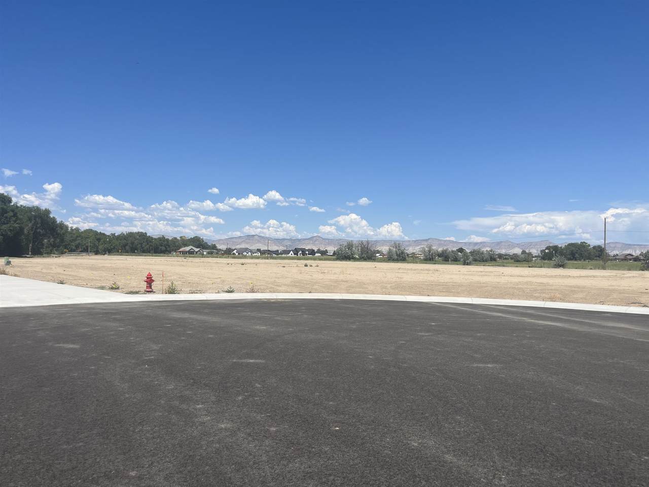 978 Hay Bale Court - Photo 1