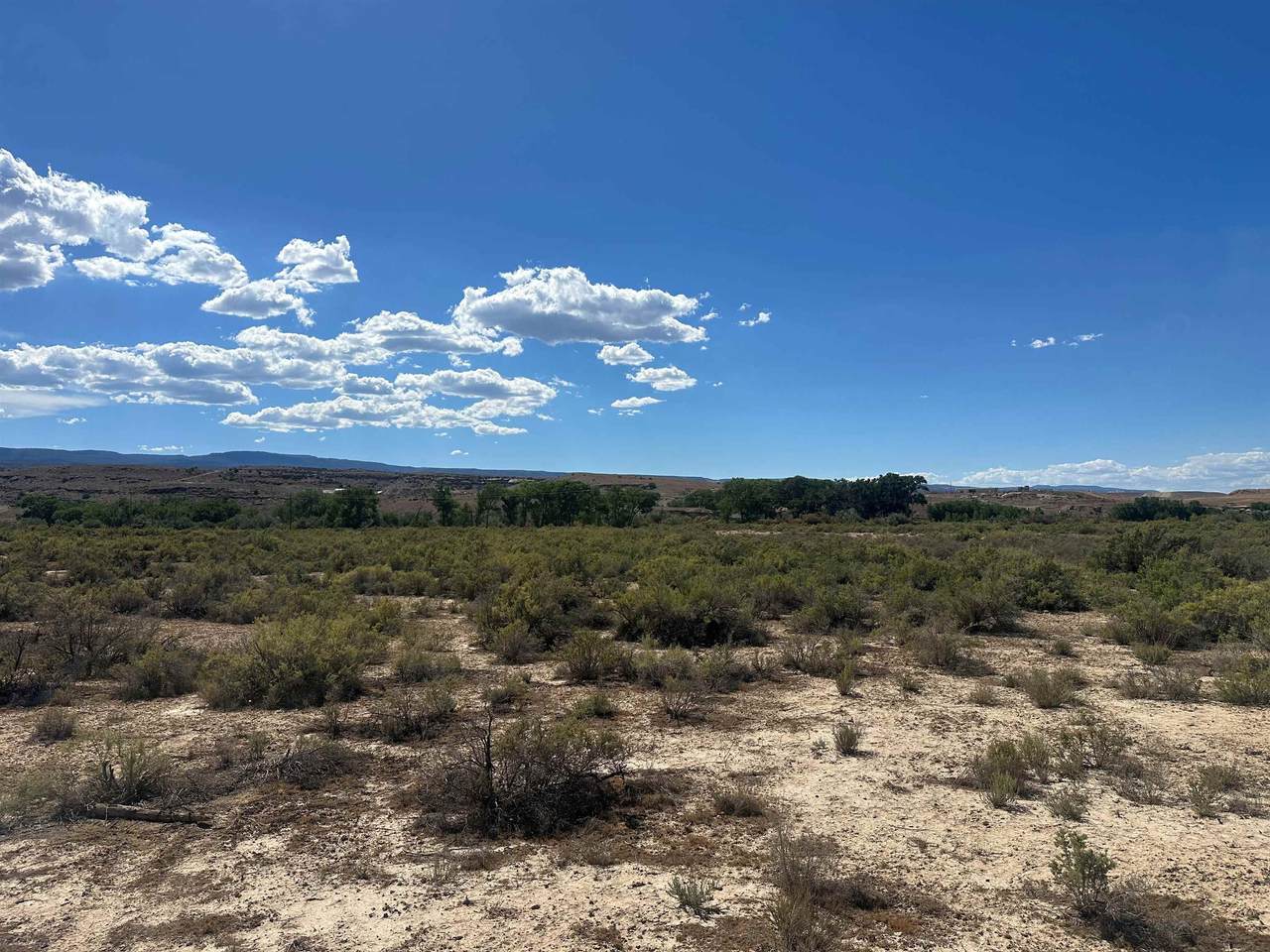 523 Desert Road - Photo 1