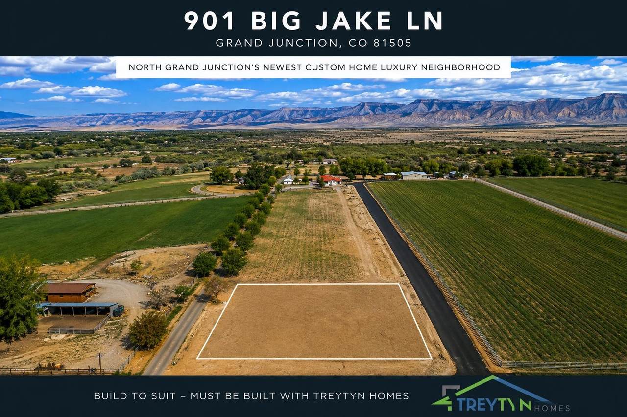 901 Big Jake Lane - Photo 1