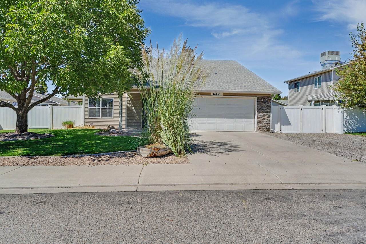 647 Longs Peak Drive - Photo 1