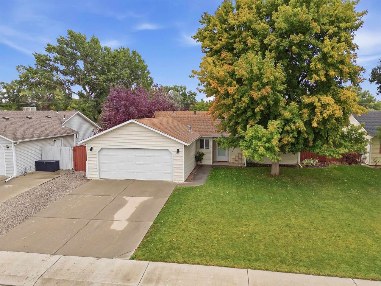 1131 Walnut Street - Photo 1