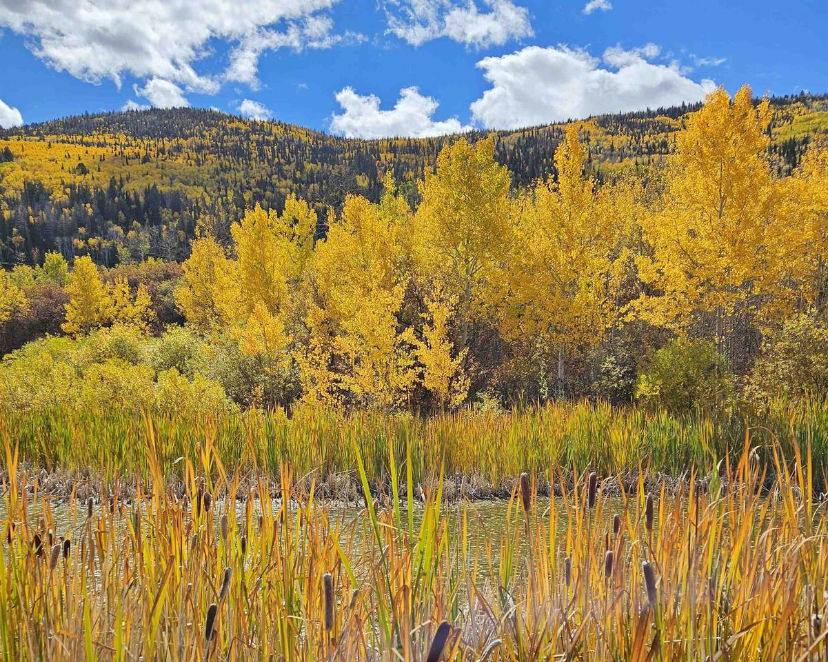 (Parcel 6) TBD Highway 65 - Photo 1