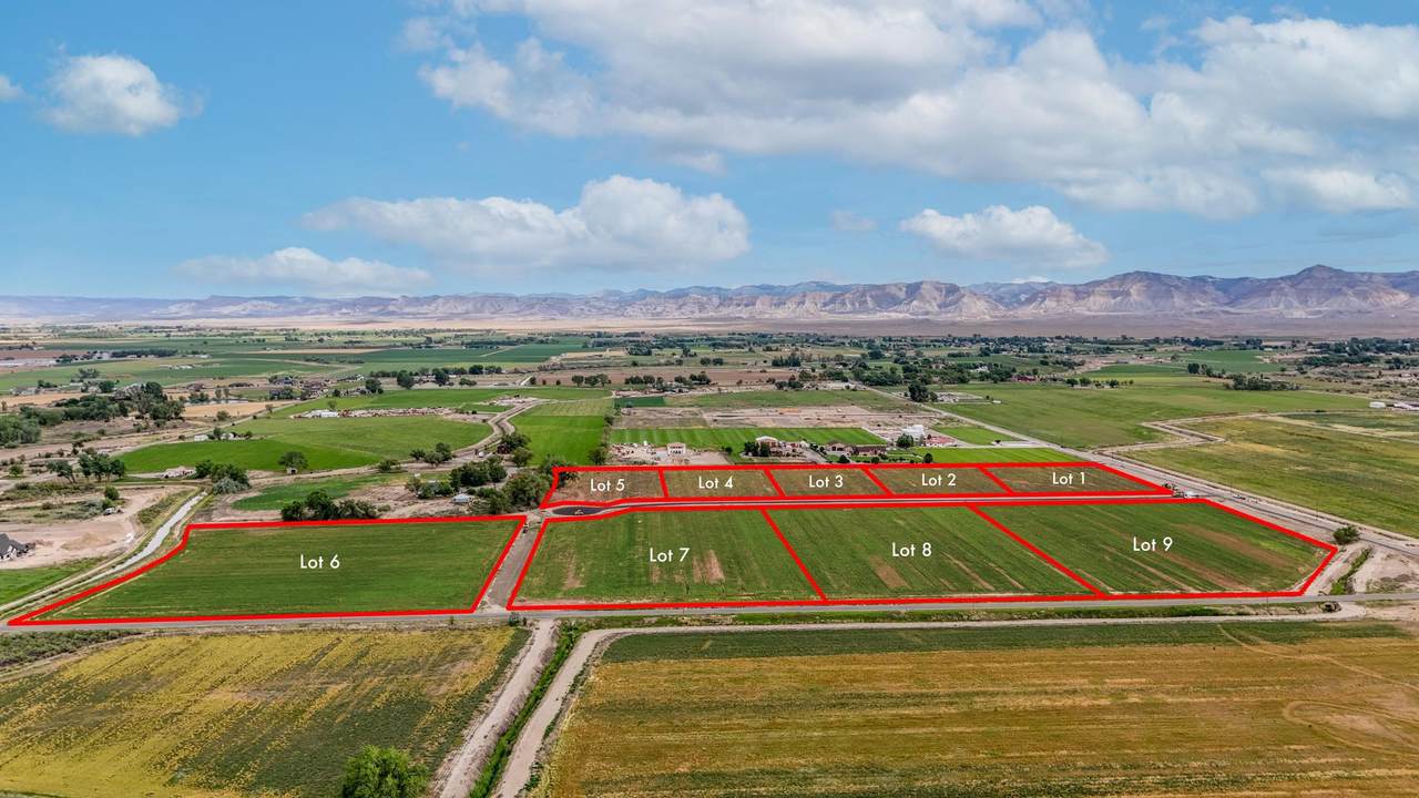 2175 Star Vista Court - Photo 1