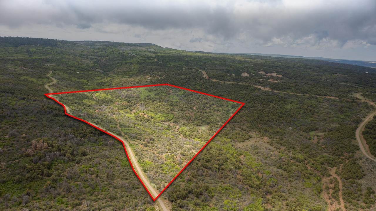 18973 Elk Reserve Road - Photo 1