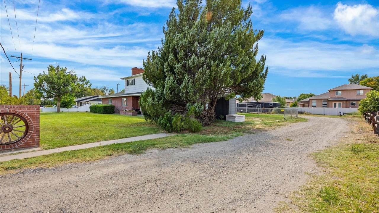 661 29 1/2 Road - Photo 1