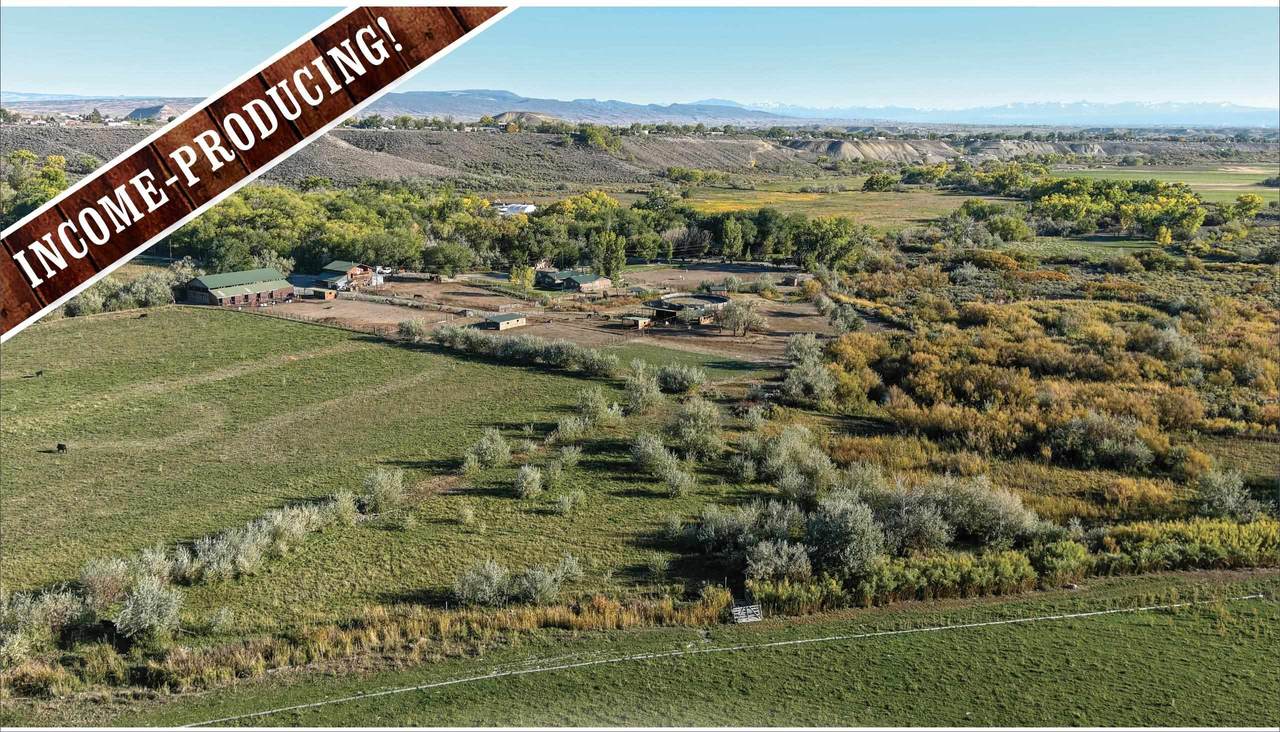 10341 Tongue Creek Road - Photo 1