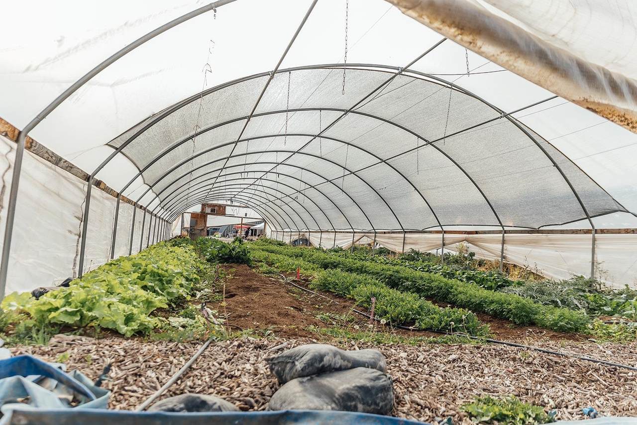 3526 Front Street - Photo 1