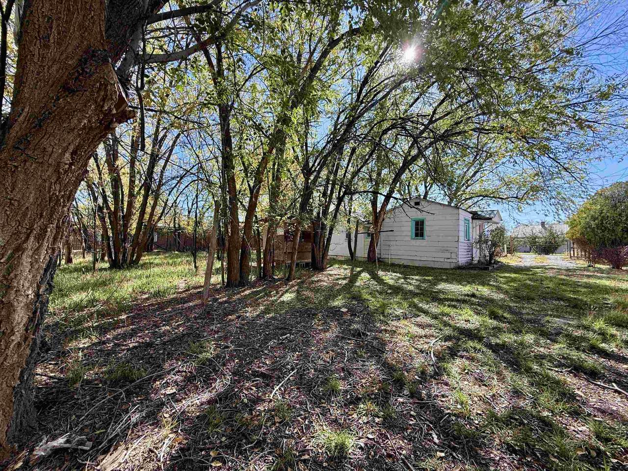 1102 Santa Clara Avenue - Photo 1