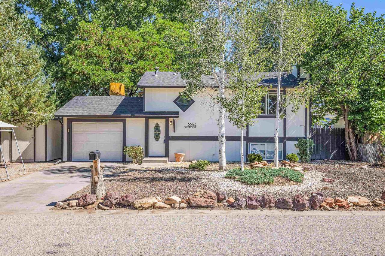 2984 Walnut Avenue - Photo 1