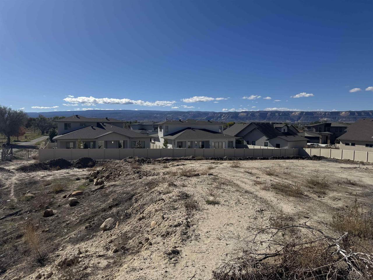 2523 Woody Creek Drive - Photo 1