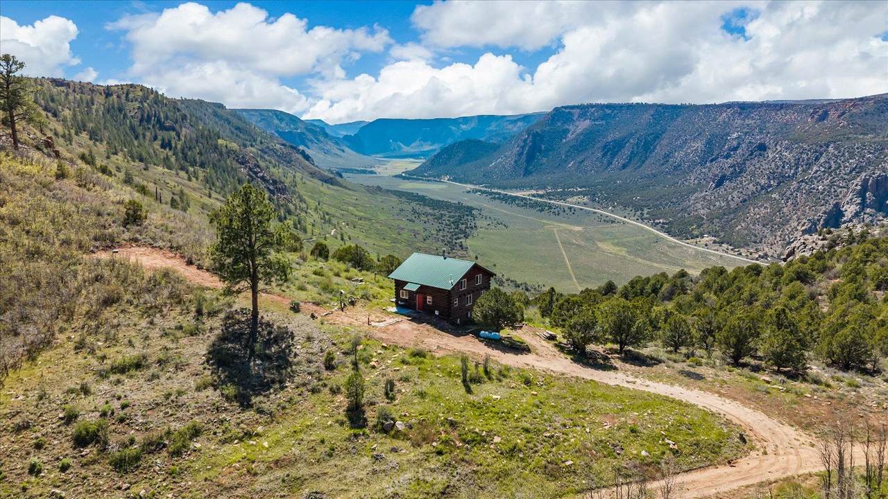 7515 Uncompahgre Divide Road - Photo 1