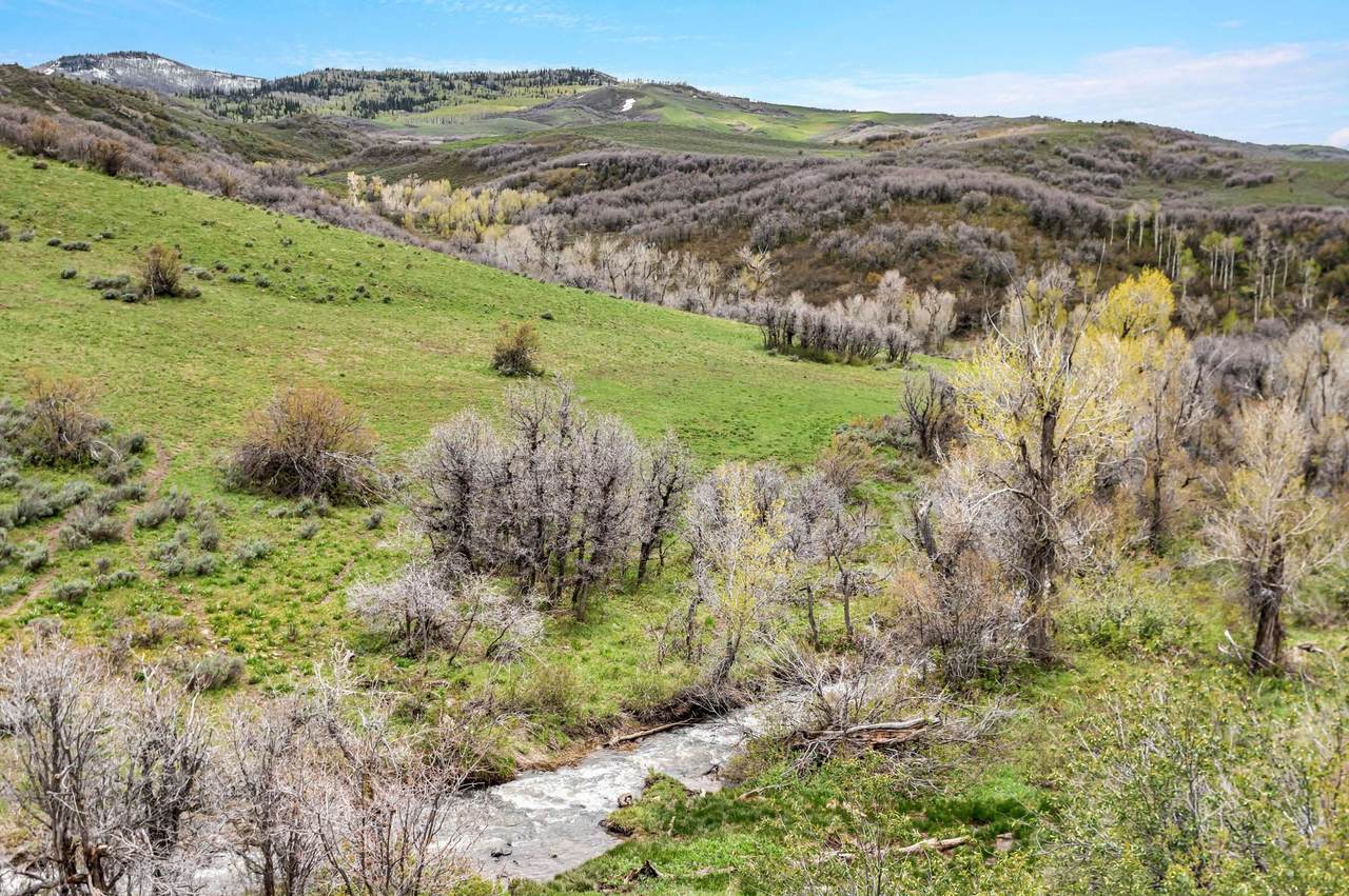 TBD County Road 80 - Photo 1