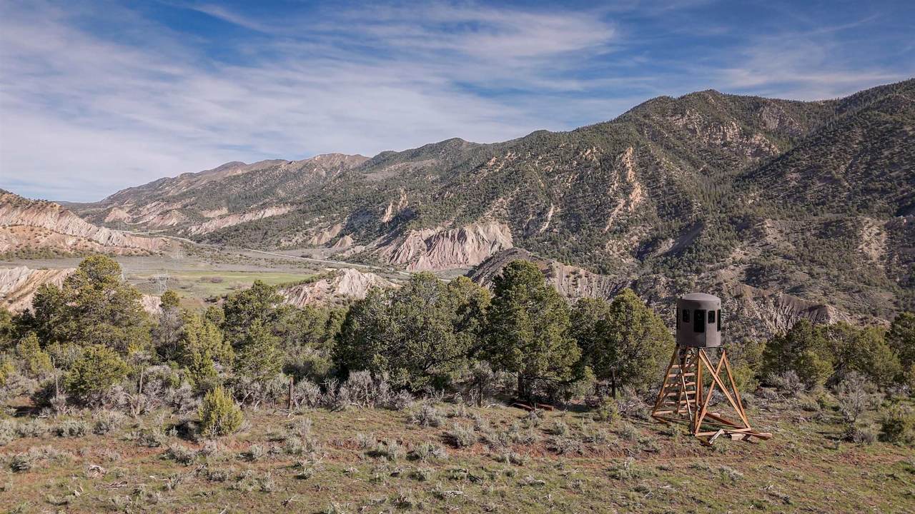 11799 Highway 13 - Photo 1
