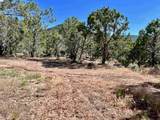 TBD 52 1/2 Road - Photo 4