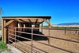 10341 Tongue Creek Road - Photo 14