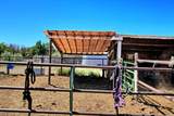 10341 Tongue Creek Road - Photo 16