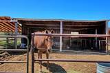 10341 Tongue Creek Road - Photo 17
