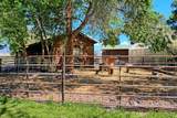 10341 Tongue Creek Road - Photo 5