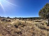 TBD Cactus Park Road - Photo 14