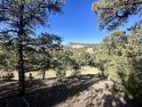 TBD Cactus Park Road - Photo 15