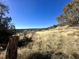 TBD Cactus Park Road - Photo 16