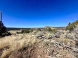 TBD Cactus Park Road - Photo 7
