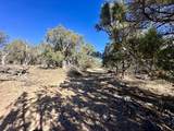 TBD Cactus Park Road - Photo 9