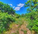 (Parcel 7) TBD Highway 65 - Photo 17