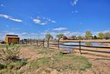 13011 Alboe Lane - Photo 23
