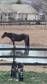 13011 Alboe Lane - Photo 24