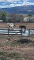 13011 Alboe Lane - Photo 25