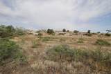 728 Curecanti Circle - Photo 23