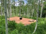 3170 San Juan Vista Road - Photo 20