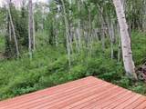 3170 San Juan Vista Road - Photo 26