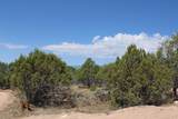 25059 Cedar Mesa Road - Photo 28
