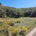 TBD Eagle Feather Trail - Photo 1