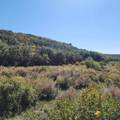 TBD Eagle Feather Trail - Photo 10