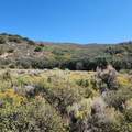 TBD Eagle Feather Trail - Photo 11
