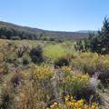 TBD Eagle Feather Trail - Photo 12