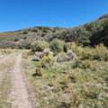 TBD Eagle Feather Trail - Photo 14