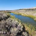 TBD Eagle Feather Trail - Photo 19