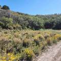TBD Eagle Feather Trail - Photo 2