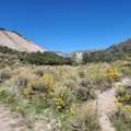 TBD Eagle Feather Trail - Photo 4