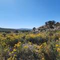 TBD Eagle Feather Trail - Photo 8