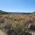 TBD Eagle Feather Trail - Photo 9