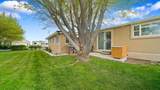 302 Desert Vista Road - Photo 26