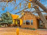 1794 Roubideau Street - Photo 40