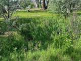 1797 County Rd 346 - Photo 23